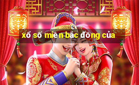 xổ số miền bắc đồng của