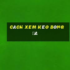 cách xem kèo bóng đá