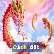 Cách đặt cược XSDTMB hôm nay