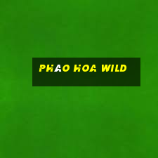 Pháo hoa Wild