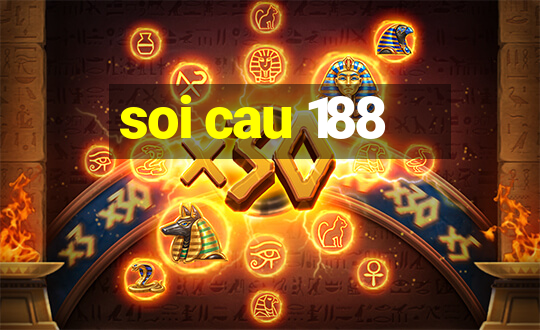 soi cau 188