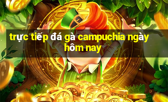 trực tiếp đá gà campuchia ngày hôm nay