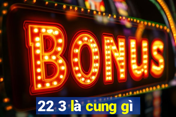 22 3 là cung gì