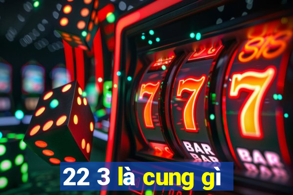 22 3 là cung gì