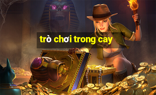 trò chơi trong cay