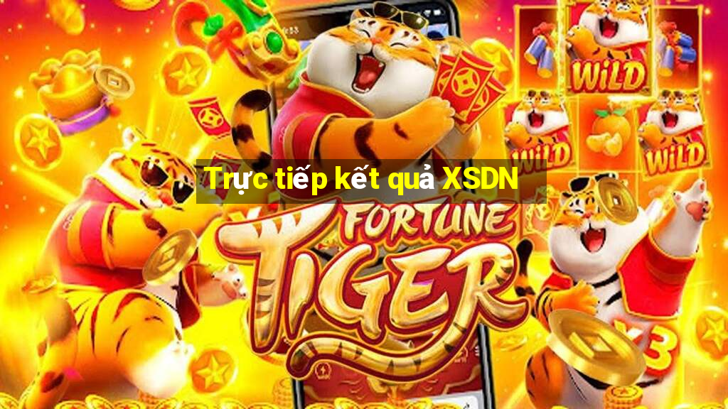 Trực tiếp kết quả XSDN