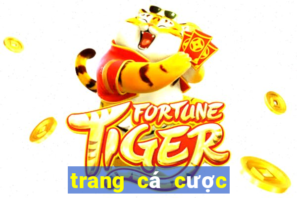 trang cá cược bóng đá webcacuoc88