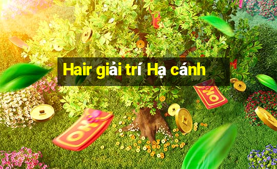 Hair giải trí Hạ cánh