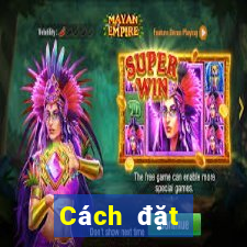 Cách đặt cược XSCM ngày 15