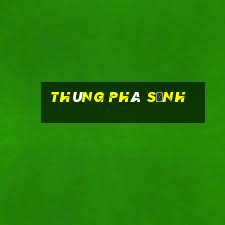 thùng phá sảnh