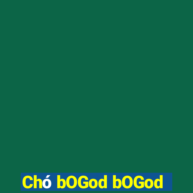 Chó bOGod bOGod