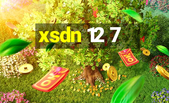 xsdn 12 7