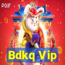 Bdkq Vip