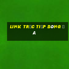 link trực tiếp bóng đá