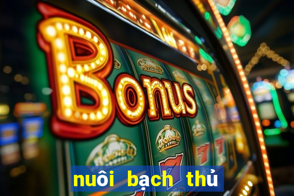 nuôi bạch thủ lô khung 2 ngày