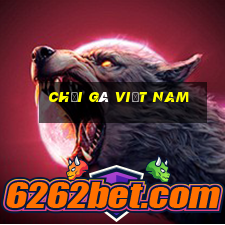 chọi gà việt nam