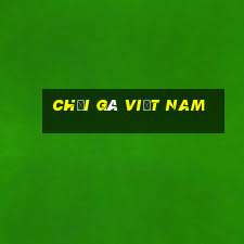 chọi gà việt nam