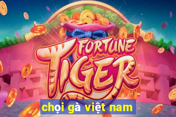 chọi gà việt nam