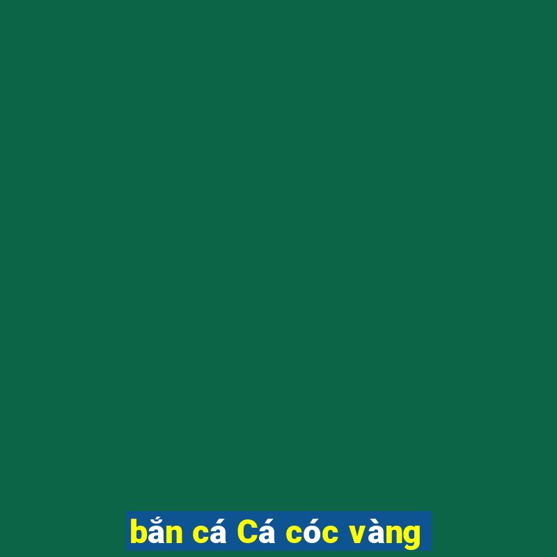 bắn cá Cá cóc vàng