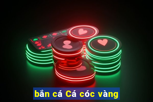 bắn cá Cá cóc vàng