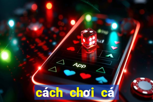 cách chơi cá độ bóng đá không thua