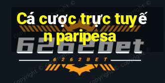 Cá cược trực tuyến paripesa