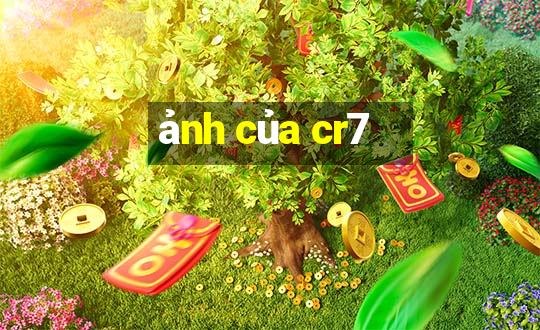 ảnh của cr7