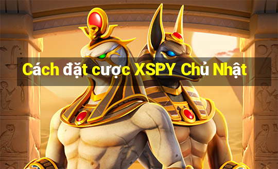 Cách đặt cược XSPY Chủ Nhật