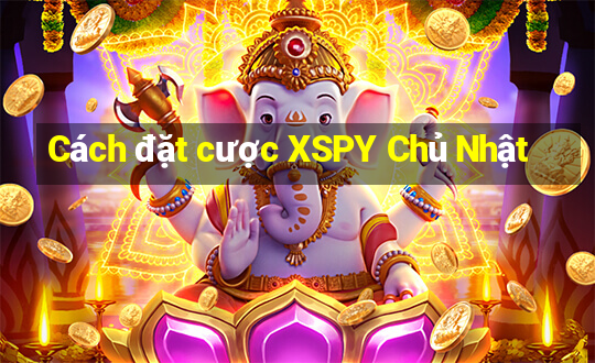 Cách đặt cược XSPY Chủ Nhật