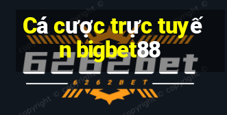 Cá cược trực tuyến bigbet88