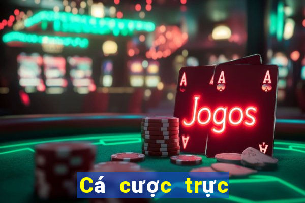 Cá cược trực tuyến bigbet88