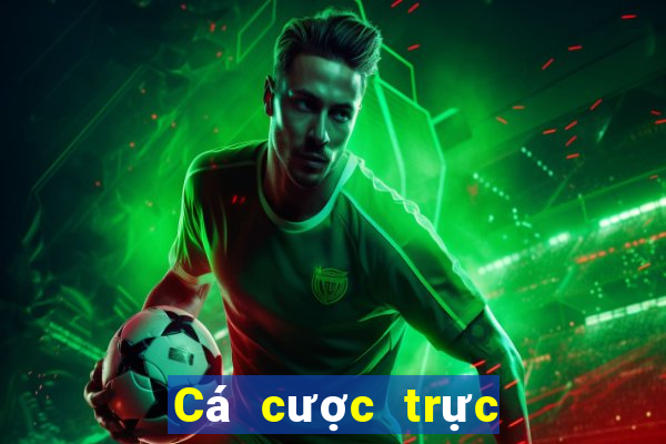 Cá cược trực tuyến bigbet88