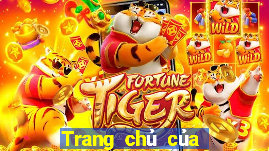 Trang chủ của trang web Paoo