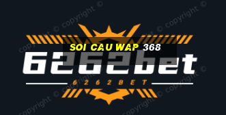 soi cau wap 368