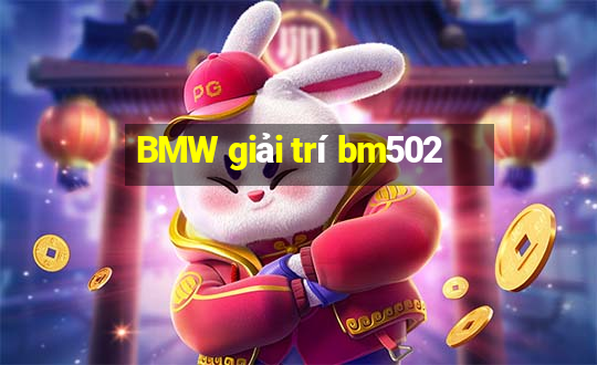 BMW giải trí bm502