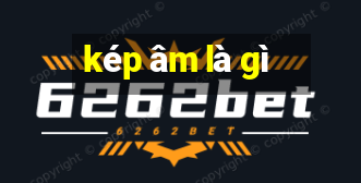 kép âm là gì