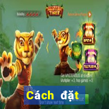 Cách đặt cược XSHCM ngày 17