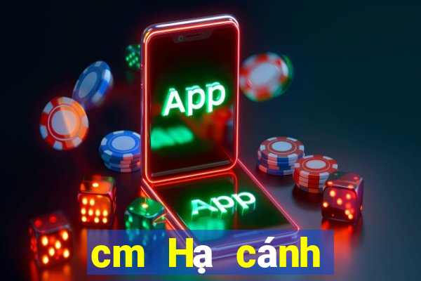 cm Hạ cánh chính thức