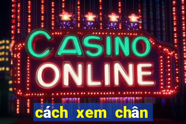 cách xem chân gà chọi