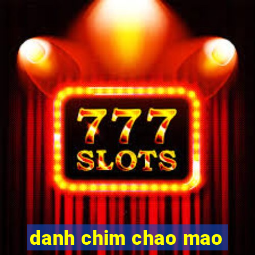 danh chim chao mao