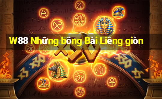 W88 Những bông Bài Liêng giòn