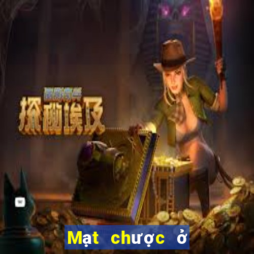 Mạt chược ở thành phố Bạch Đằng