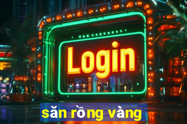 săn rồng vàng