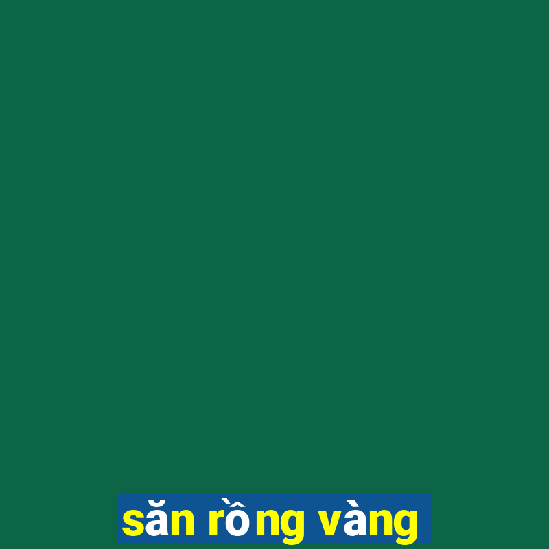 săn rồng vàng