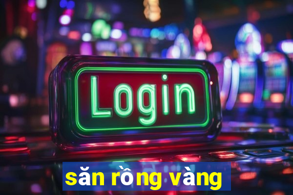 săn rồng vàng