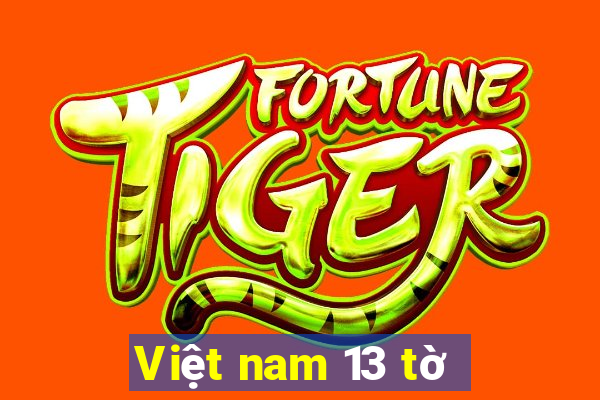 Việt nam 13 tờ