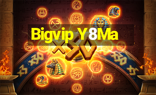 Bigvip Y8Ma