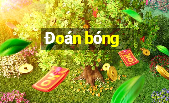 Đoán bóng