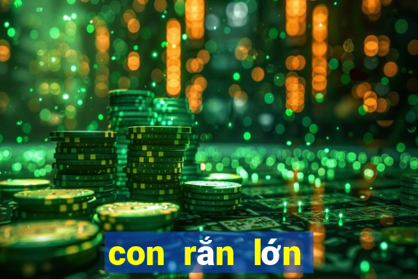 con rắn lớn số mấy