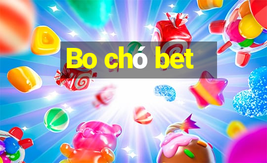 Bo chó bet